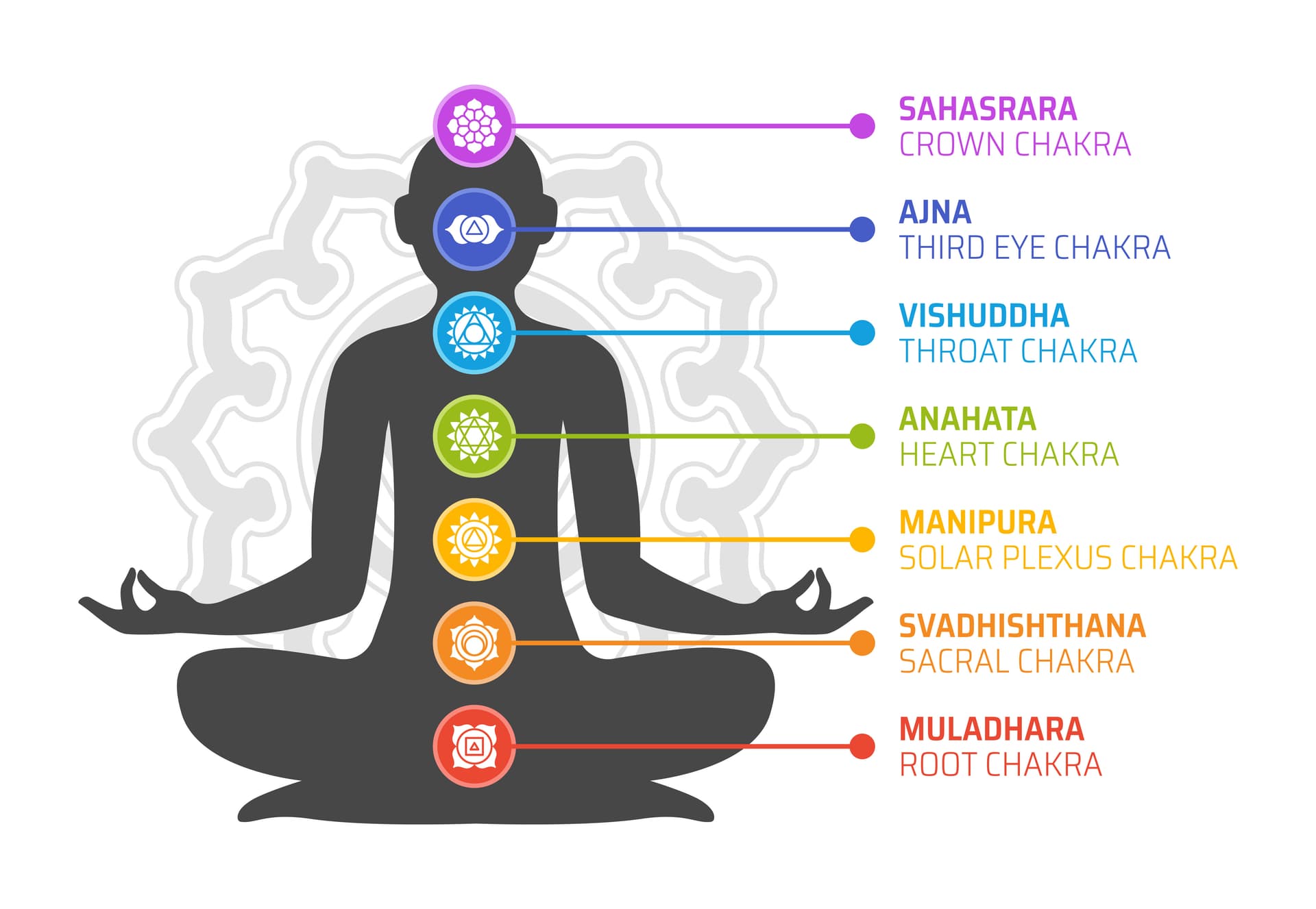 Seven chakras diagram showing the energy centers in human body from Crown to Root chakra